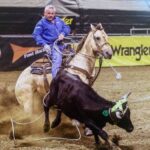 Certification Schools - Equine Sports Therapy